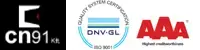 CN91logo